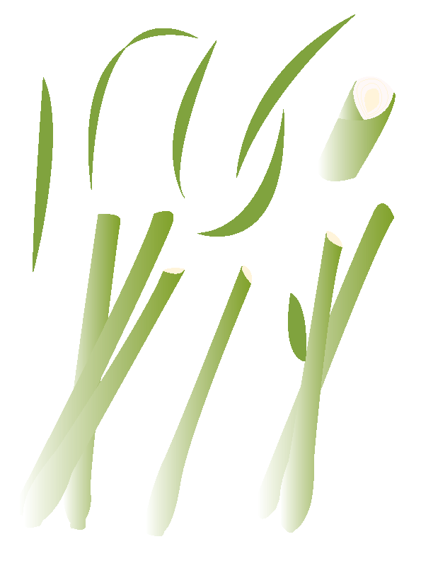 Illustration of Lemongrass