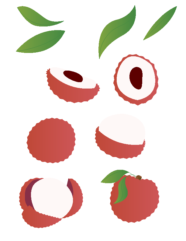 Illustration of Lychees